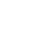 FLEX LION フレックスライオン